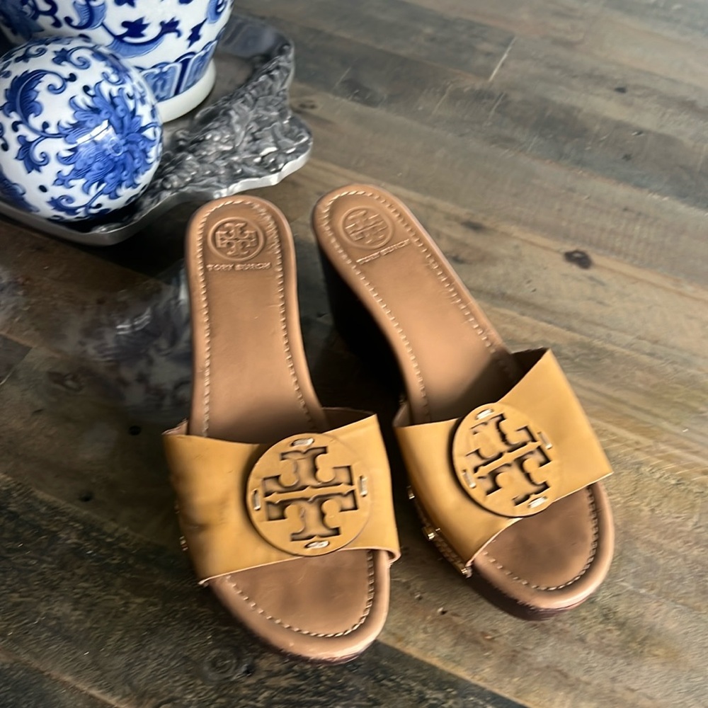 Tory B wedge